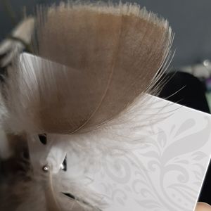 Goose down stud earrings